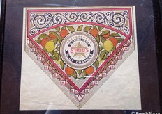 Carta pergamenata appartenente alla collezione del Prof. Antonino Catara