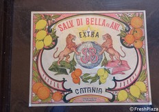 Carta pergamenata appartenente alla collezione del Prof. Antonino Catara