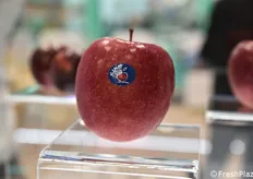 Un dettaglio di una mela KIKU. La storia di questa mela risale agli anni '90, per iniziativa del produttore e vivaista altoatesino Luis Braun che trovò in Giappone un rametto della varietà Fuji con mele particolarmente attrattive e gustose - nacque così la mela KIKU®.