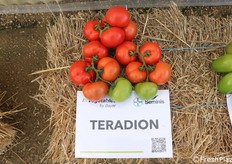 Teradion, l'apprezzatissimo tondo liscio