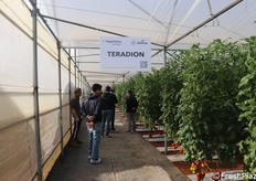 Serra dedicata a Teradion