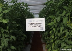 Ampia esposizione anche di portinnesti