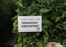 Ampia esposizione anche di portinnesti