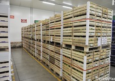 Un totale di 100 tonnellate di aiuti