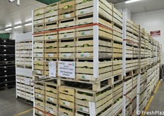 Grande l'adesione di aziende ortofrutticole, che hanno donato intere pedane nonostante il periodo economico generale  