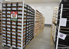 Grazie alle aziende della Basilicata, sono stati spediti anche agrumi