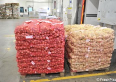 Patate e cipolle, ideali grazie alla loro lunga conservazione