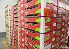 Un marchio conosciuto del settore pere