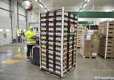 Tanti gli agrumi della Basilicata trasportati in questo viaggio