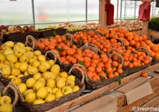 Gli agrumi e la frutta sono ancora forniti da aziende esterne, ma Serra Madre è al lavoro per impiantare anche dei frutteti propri.