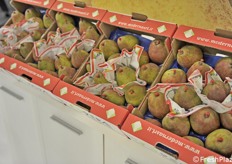 Esposizione di pere a marchio Moderna