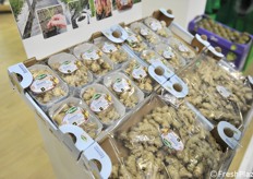 Zenzero a marchio Alegra