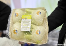 Finocchio di Isola Capo Rizzuto IGP