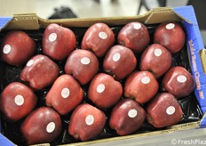 Mele rosse di Cuneo IGP