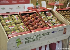 Pere a marchio Opera 