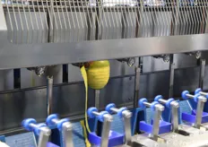 Dettaglio pelatrice di mango - PND