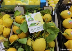 Limoni a marchio Pasam