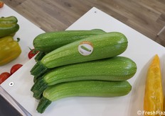 Zucchino Giovì della Southern Seed