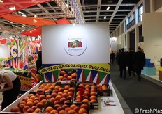 Consorzio Euroagrumi