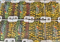 Una pedana mista per i clienti più esigenti. La cura dei particolari qui è massima