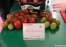 HMC44553, un midi plum di nuova concezione che riserverà ottime sorprese per la filiera del pomodoro