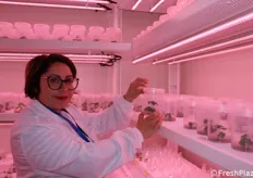 Giovanna Lionetti, responsabile laboratorio NSG, all'interno della camera di crescita.