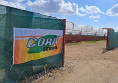 Cora Seeds ha organizzato un open day il 12 aprile 2023 presso l'Azienda Agricola Altamura Daniela, a Battipaglia (SA) per presentare le nuove varietà  per la IV gamma