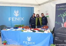 Fenix - Federico Colletta, Simone De Martino e Salvatore Petrone