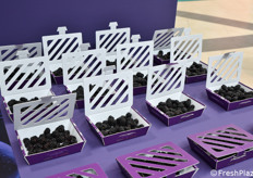 Esposizione di packaging sostenibili per more nella Hall Sud.