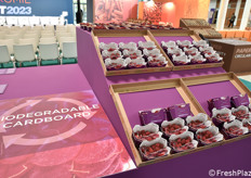 Esposizione di packaging sostenibili per lamponi nella Hall Sud.