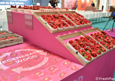 Esposizione di packaging sostenibili per fragole nella Hall Sud.