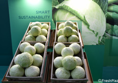 Esposizione di packaging sostenibili nella Hall Sud.