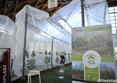 Reti e impianti Corradi 