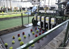 Raccoglitrice automatica