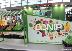 Le cassette CO.N.I.P. sono perfette dal campo al banco! Certificate per contatto con ortofrutta, rispondono alle esigenze di frutta e verdura in ogni fase, dalla raccolta alla lavorazione, fino alla vendita.