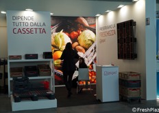 Plasgad Europe - Pallets - Contenitori - Imballaggi in plastica