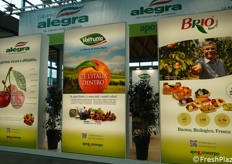 Alcuni dei marchi del Gruppo Alegra