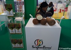 Esportatori ortofrutticoli dal Ghana.