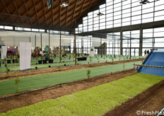 Una vista di Macfrut in Campo.