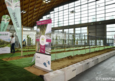 Una vista di Macfrut in Campo.