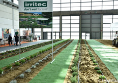 Impianto Irritec a Macfrut in Campo.