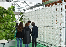 Impianto di coltivazione verticale fuorisuolo dell'Azienda Sottile.