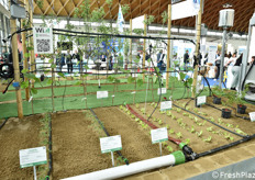 Il Macfrut Acqua Campus.