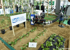 Il Macfrut Acqua Campus.