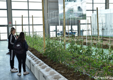 Visitatrici a Macfrut in Campo.