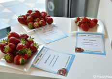Esposizione di varietà di fragole nell'area Civi Italia.