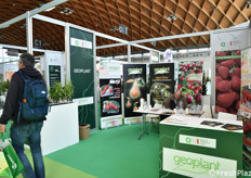 Stand Geoplant nell'area Civi Italia.