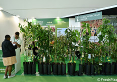 Uno stand di vivaisti spagnoli.