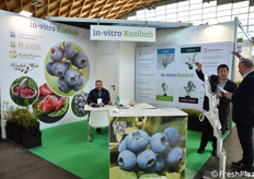 Stand in-vitro Kusibab.