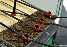 Chiodo per ala gocciolante leggera di SR Innovative, un sistema brevettato per facilitare la posa e poter gestire senza particolari difficoltà l'irrigazione nell'impianto di irrigazione. 